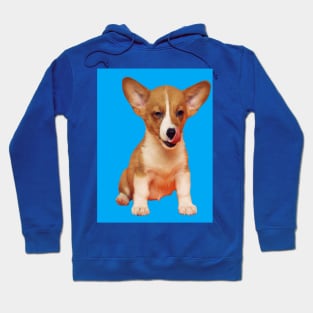 dog Hoodie